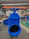 Flanged Soft Seal Gate Valve Non-Rising Stem for Water System