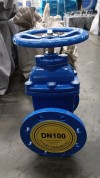 Flanged Soft Seal Gate Valve Non-Rising Stem for Water System